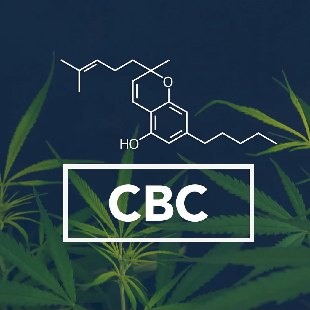 The Intriguing Potential of Cannabichromene (CBC)Post Image