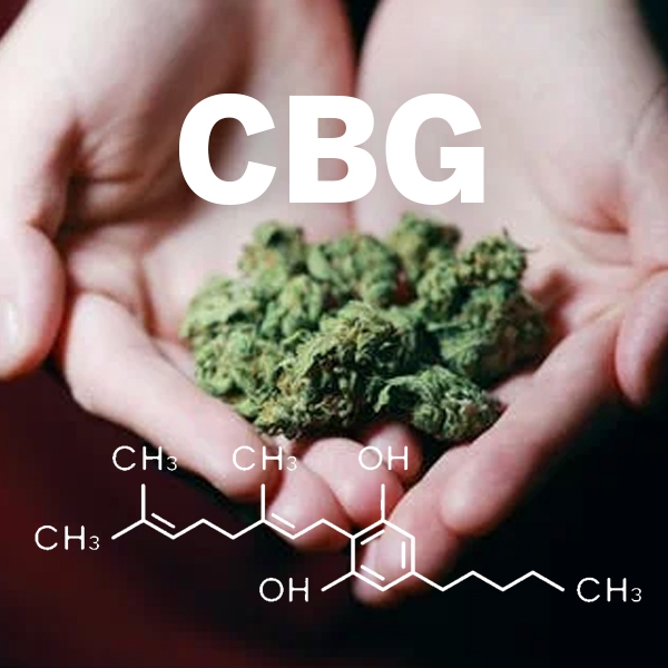Unveiling CBG: The Hidden Gem of CannabinoidsPost Image